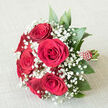 3.2IMG_3354.jpg