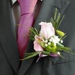 5.IMG_3538-900x900.jpg