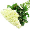 white_roses1.jpg